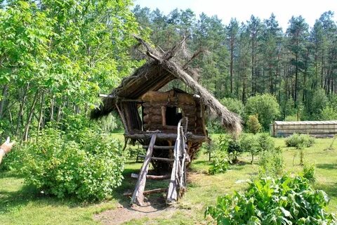 Сады горного алтая