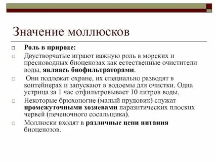Значение моллюсков в природе человека