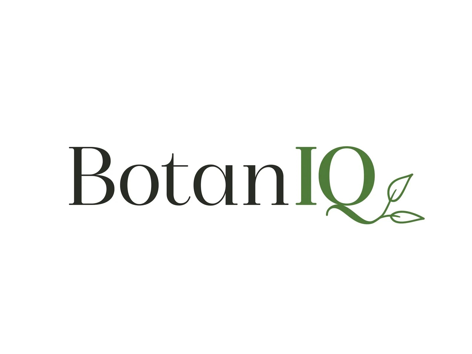 Blender botaniq. Botaniq логотип.