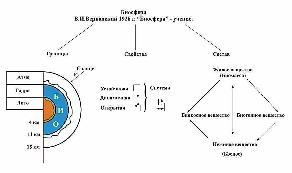 Конспект биосфера оболочка жизни. Биосфера Вернадский схема. Структура биосферы Вернадский. Схема учения Вернадского. Структура биосферы схема.