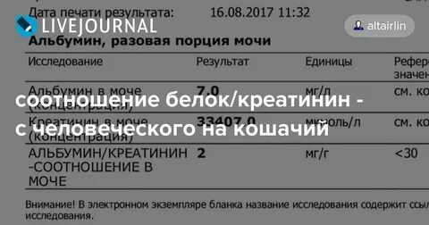 Альбумин креатинин в разовой порции