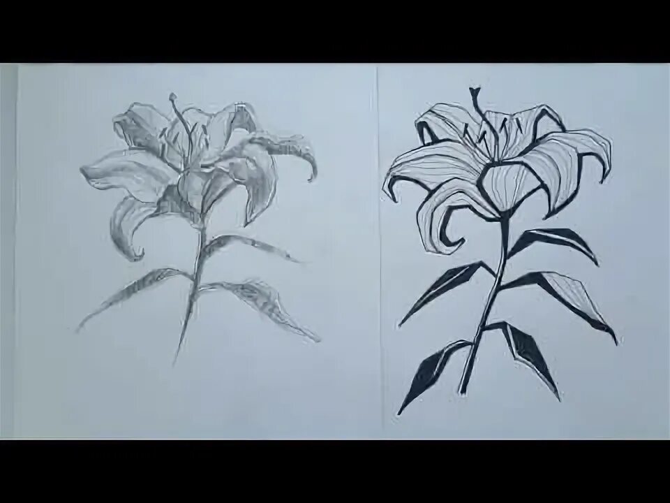 Стилизация растений этапы. Стилизованные растения композиция. Стилизованные рисунки цветов и растений. Графика для начинающих. Рисунки ках