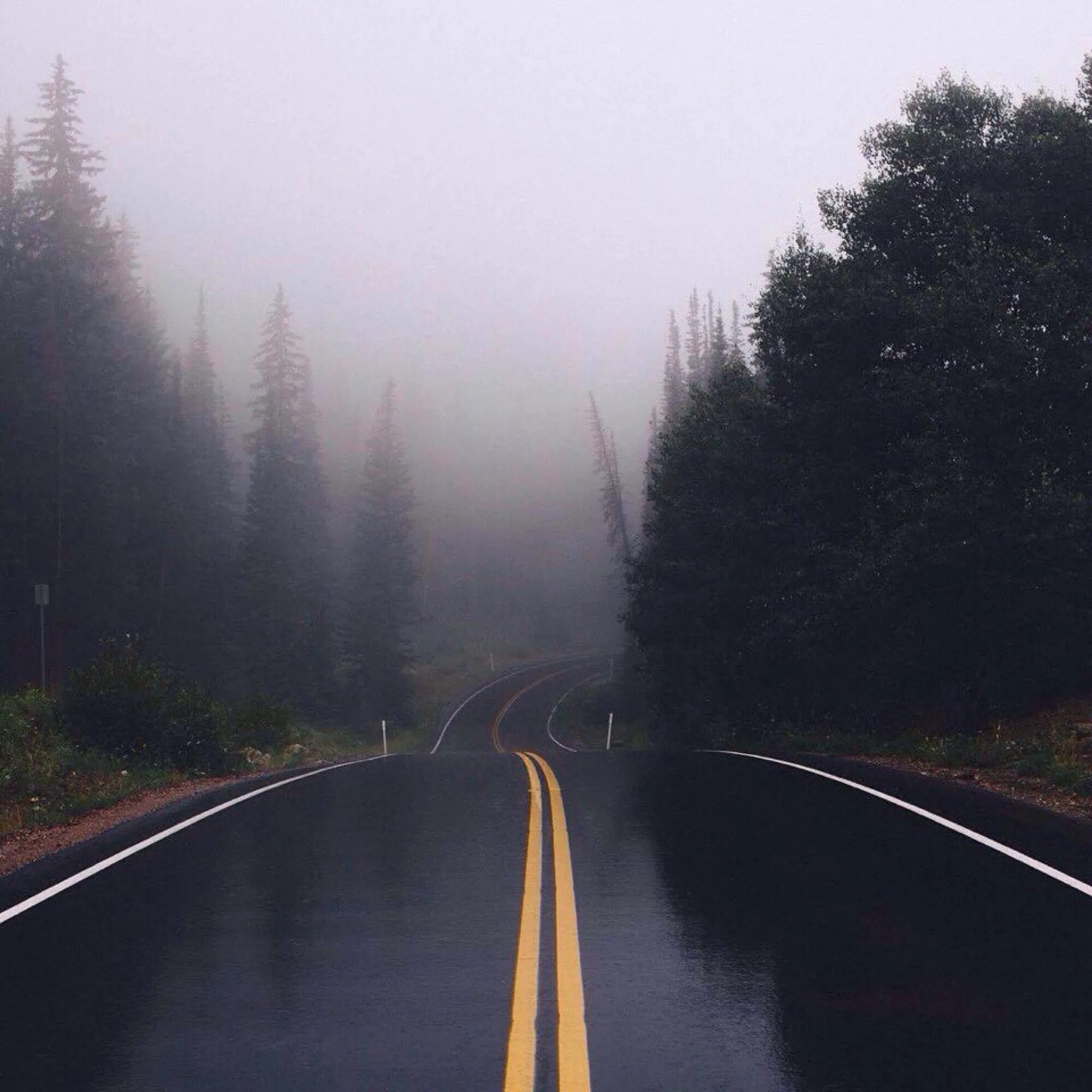Long way back. Дорога дождь. long way. lost road. long way picture.