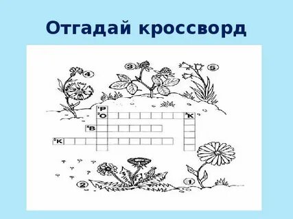 Кладовая кроссворд