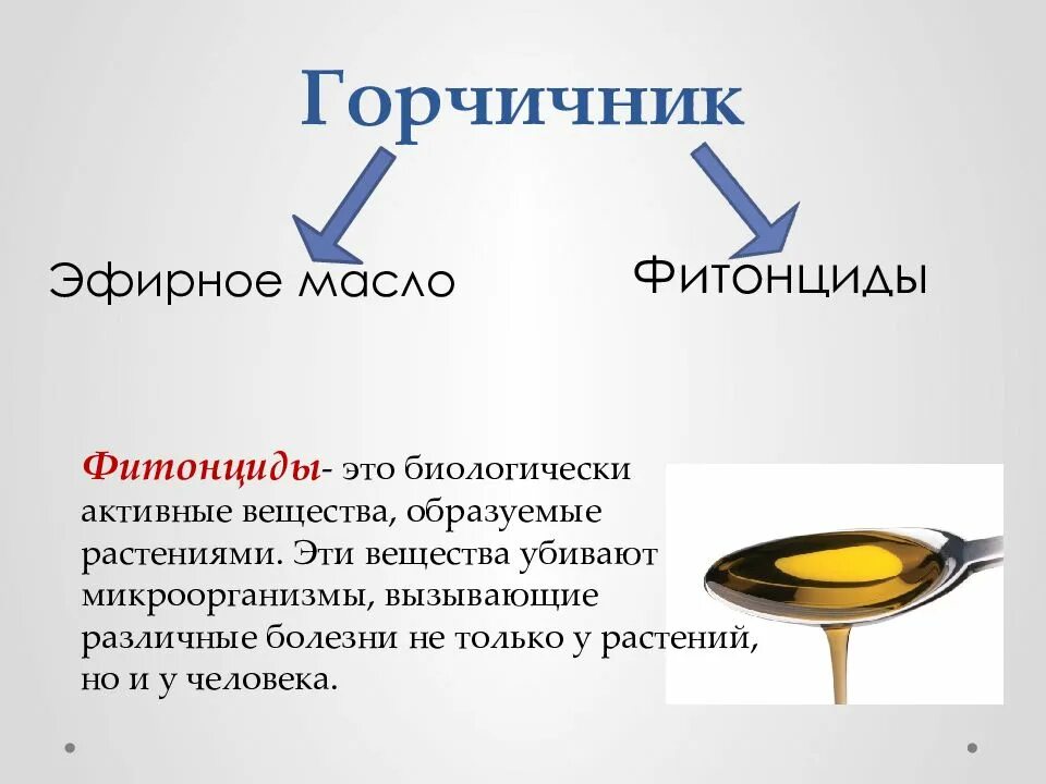 Температура воды для смачивания горчичников. Горчичники презентация. Места постановки горчичников при различных заболеваниях. Презентация постановка горчичников. Действующее вещество горчичников – это:.