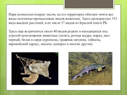 Какое животное не обитает на территории