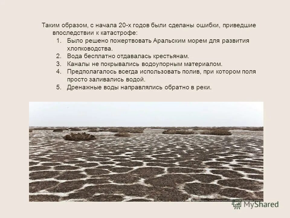 Природные богатства охотского моря. Пути решения экологических проблем охотского моря. Экологические проблемы охотского моря моря. Решение экологических проблем черного моря. Экологические проблемы охотского мо.