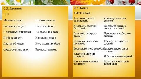 Солнце бросило луч