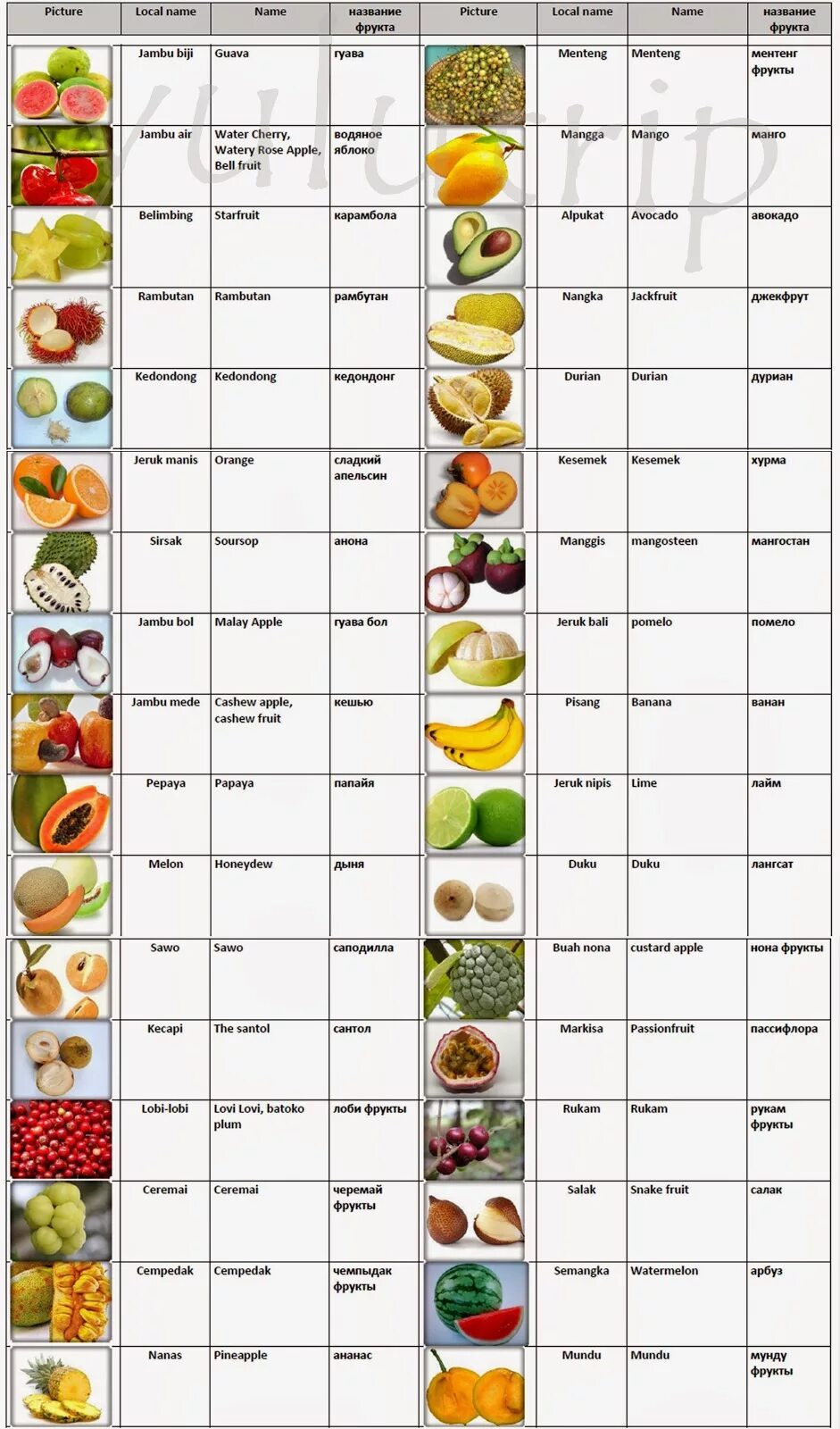 Список фруктов. Фрукты список. Названия фруктов список. Фрукты перечень названий. Фрукты список с картинками.