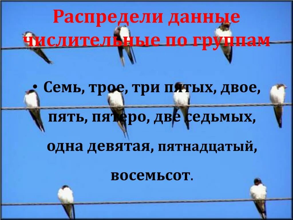 По двое по трое. Распредели числительные по группам. Распределите числительные по группам трехточечный. Троих или трех. Восемьсот семь группа.