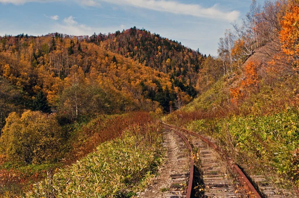 Южно-Сахалинская железная дорога. Железная дорога Холмск Южно-Сахалинск. Остров Сахалин железная дорога. ЖД дорога Южно Сахалинск Холмск.