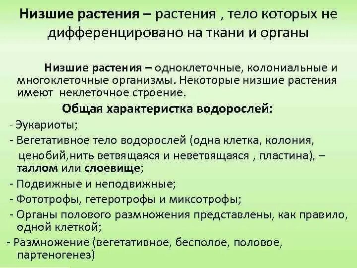 Водоросли имеют ткани. Низшие растения характеристика. Водоросли не имеют тканей и органов. У низших растений тело не дифференцировано на ткани и органы.