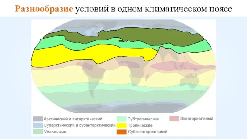 Субарктический и Арктический климатические пояса. Субантарктический климатический пояс. Субантарктический климатический пояс на карте. Субарктический пояс на карте.