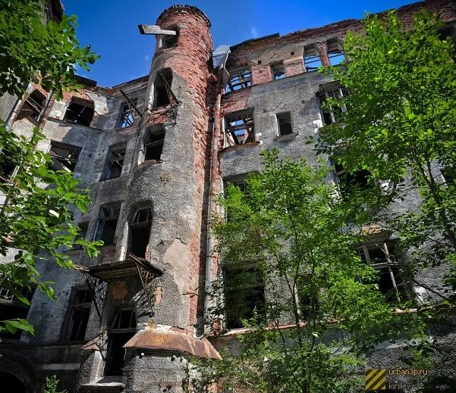 Трубы выборг. Дом говинга в выборге. домус говинга. ведьмин дом выборг. домус говинга в выборге история.