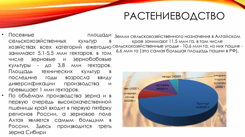 Сельскохозяйственные земли в россии занимают площадь. Растениеводство Алтайского края. Алтайский край презентация. Площадь земель Алтайского края. Земли сельского назначения занимают.