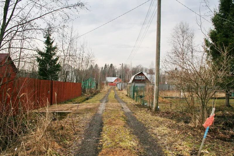 садовое товарищество свет