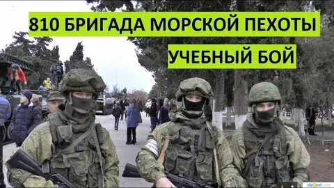 Бои 810 бригады