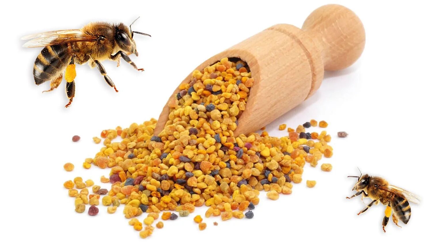 Цветочная пыльца на пчеле. Пчелиная пыльца (Bee pollen). Цветочная пыльца и перга. Пчелиная пыльца обножка.