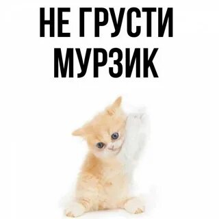 Не грусти я больше не вернусь