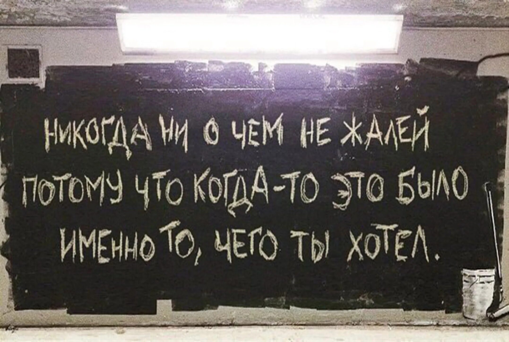 Не жалей ни о чем. Никогда ни о чем не жалей. Не жалей ни о чем цитаты. Никогда ни о чем не жалей картинка. Никогда не презирайте