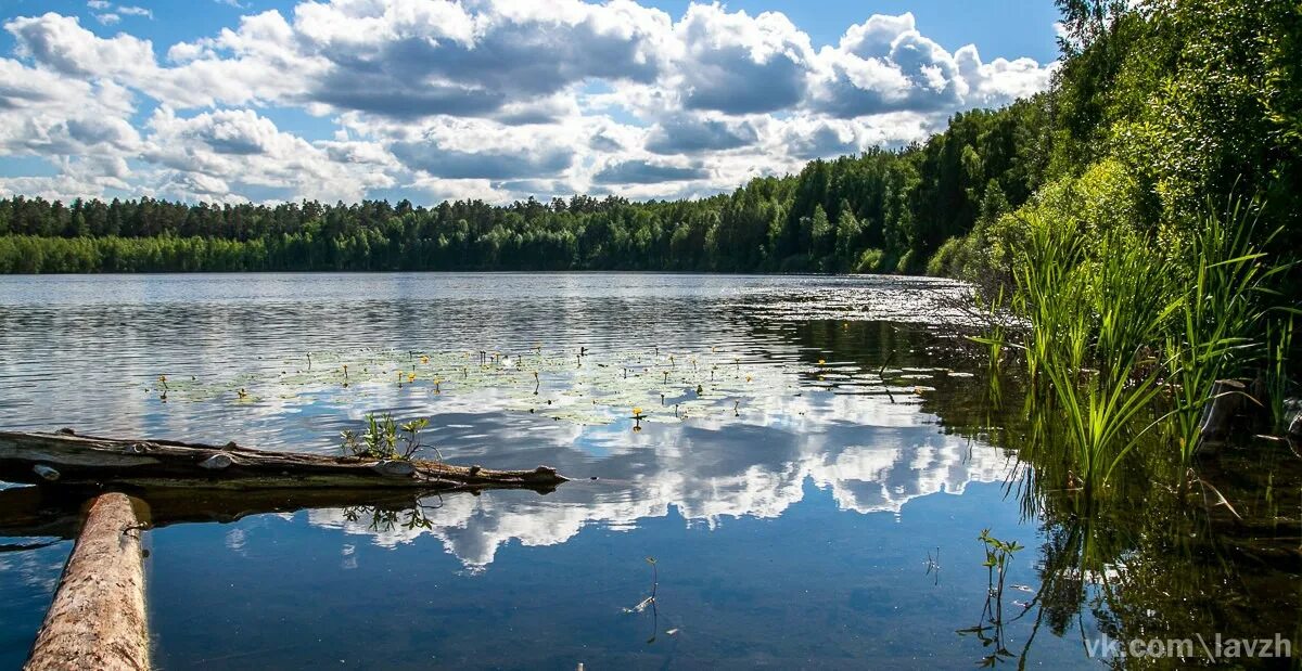 Светлое (озеро, Чувашия). Чёрное озеро Чувашия. Реки и озера Чувашской Республики. Белое озеро (Чувашия). Водные богатства чувашии