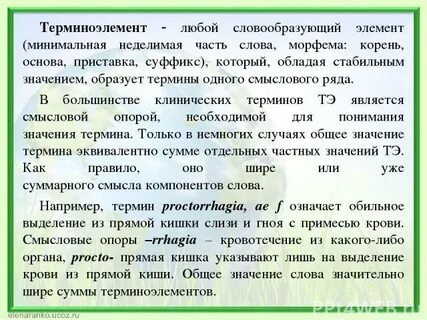 Терминоэлементы латынь