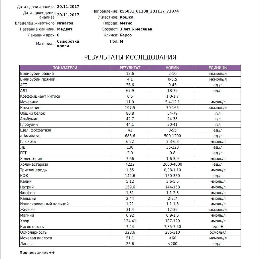расшифровка анализов крови биохимия таблица. биохимический анализ крови норма у женщин после 50 расшифровка. норма анализов крови у женщины таблица общий. биохимический анализ крови показатели нормы. нормальные показатели биохимического анализа крови.