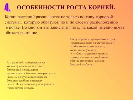 Рост корневой системы