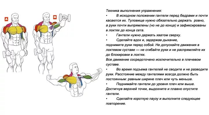 Техники правильного выполнения силовых упражнений. Упражнения для плеч. Правильные упражнения с гантелями. Упражнения с гантелями мышцы. Эффективные упражнения на плечи с гантелями.