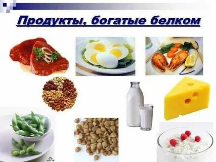 Грибы богатые белком