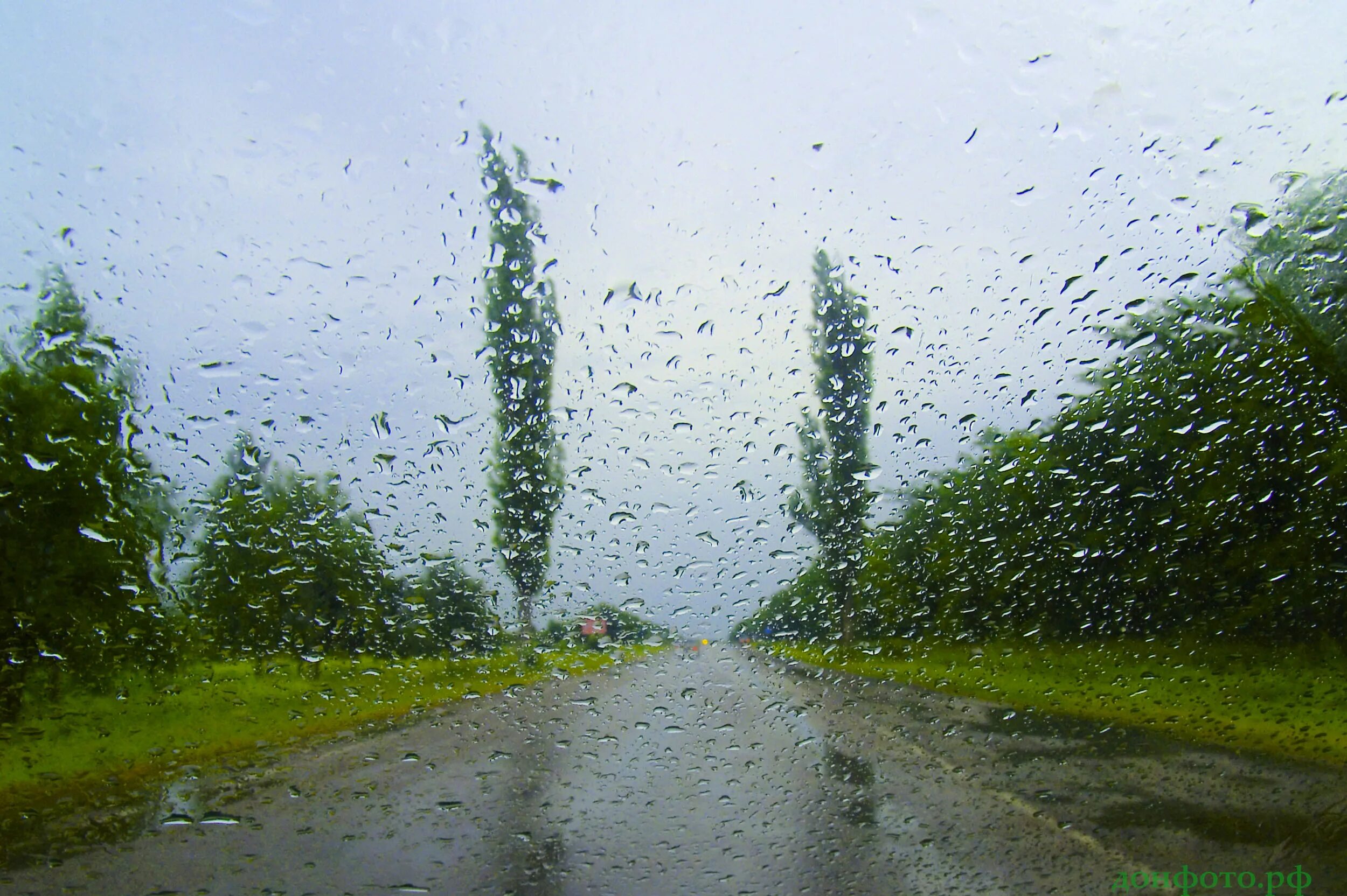 Дождливое лето. Природа дождь. Холодное дождливое лето. Грустный дождь. Дождик крупный