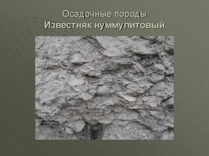 Известняк осадочная порода