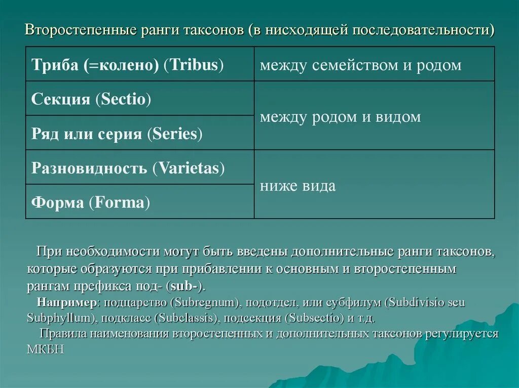 Ранги таксонов. Ранги таксонов растений. Порядок таксонов. Ранг между семейством и Родом. Триба это