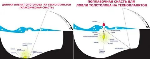 Поплавочная снасть для ловли толстолобика с любой глубины.