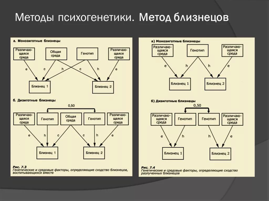 Основная схема метода приемных детей. Близнецовый метод схема. Близнецовый метод психогенетики. Метод близнецов в психогенетике.