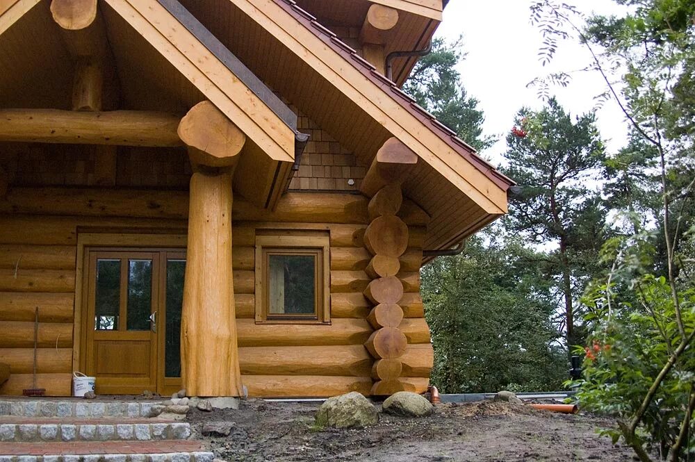 Дома из какого бревна лучше