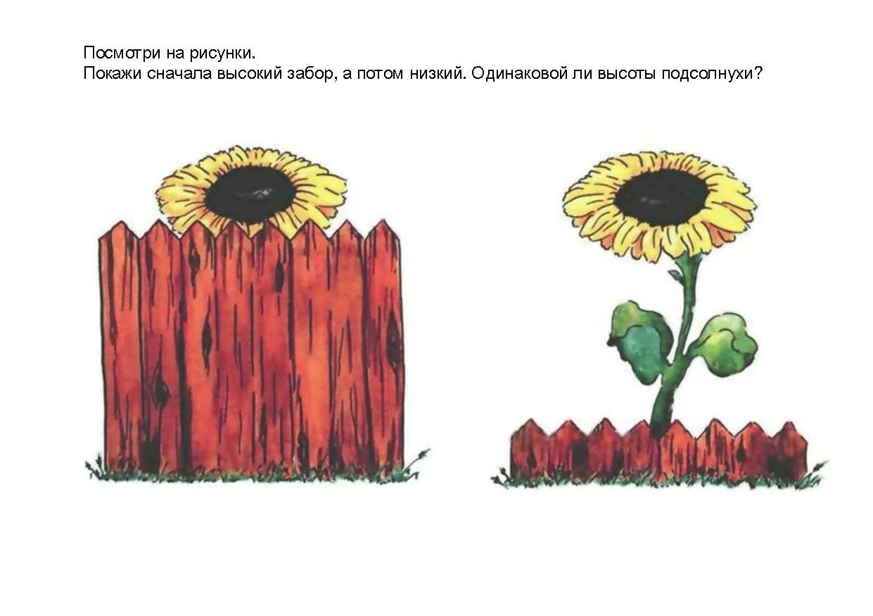 Заборчик высокий и низкий. Высокий и низкий забор. Заборчик высокий низки. Заборчики для детей высокий и низкий.