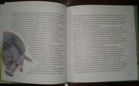 Волчок слушать аудиокнигу