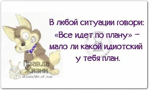 Мало ли что ты знаешь
