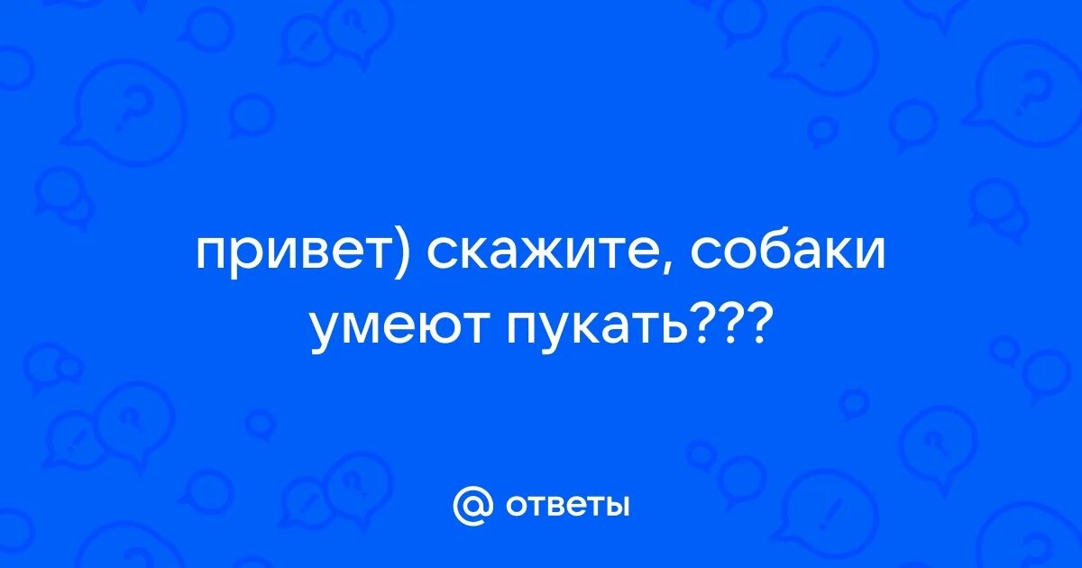 Смешные пуки. Шутки про бассейн. Как пукнуть. Пукнул мем. Смешное плавание.