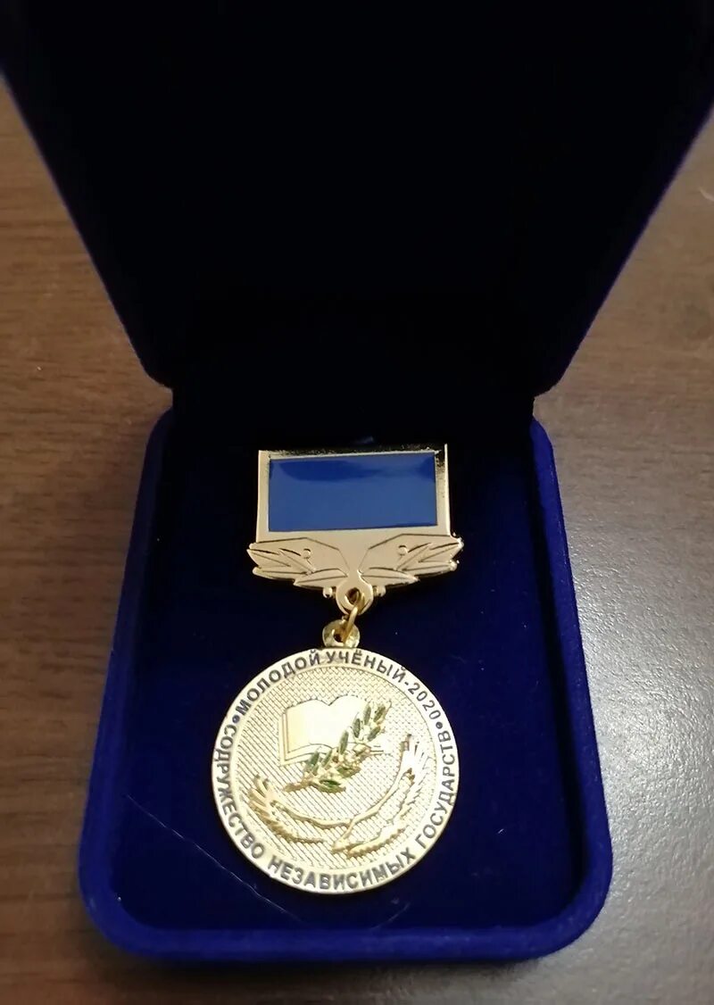 медаль российская академия наук. эмблема академии наук россии. медаль молодого ученого. медали молодым ученым. медаль молодым ученым ран.