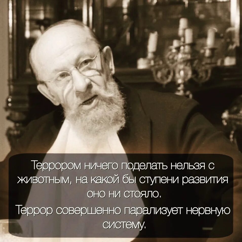 Собачье сердце про разруху. Собачье сердце разруха в головах. Профессор преображенский собачье сердце. Профессо преображенский разруха. Профессор преображенский булгакова.
