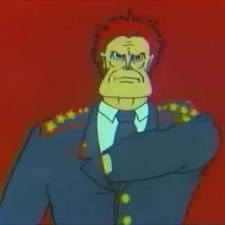 Дзен попичконов