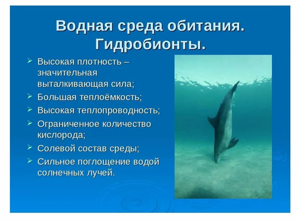 Водная среда обитания. Факторы водной среды обитания. Водная среда обитания организмов. Особенности водных организмов. Особенности обитания живых организмов в океане