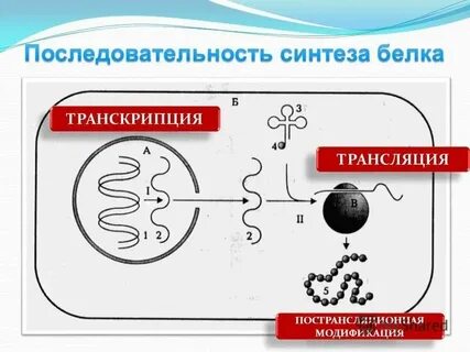 Матрица в трансляции рисунок