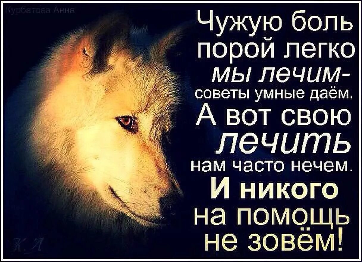 Про жизнь волков. Волки афоризмы высказывания. Умные фразы про Волков. Мудрые цитаты про Волков. Мудрые слова волка.