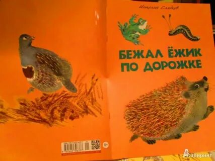 Ходит ежик по дорожке