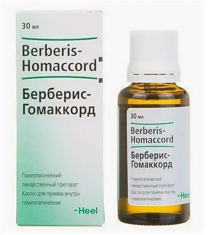 Что такое берберис. Берберис композитум. берберис гомеопатия. берберис хель. галиум хель.