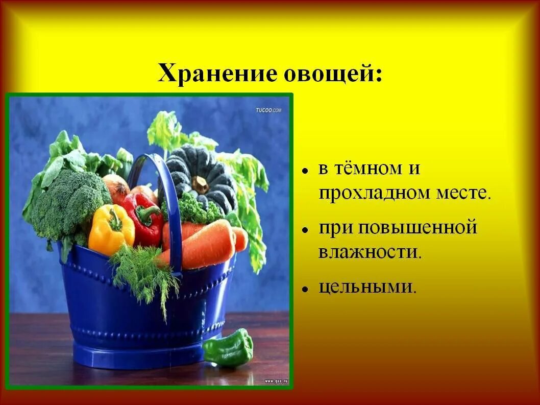 Требование к хранению овощей. Роль овощей в жизни человека. Овощи в жизни человека. Проект овощи. Хранение овощей презентация.