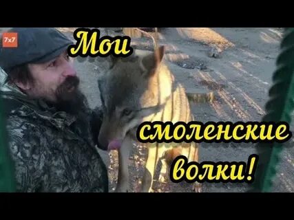 Вам не понять судьбы